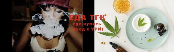 индика Михайловск