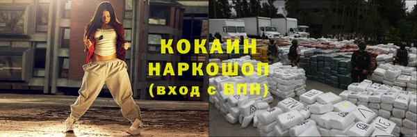 МДПВ Алзамай
