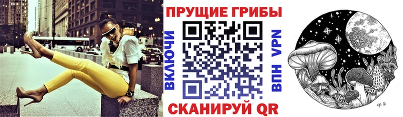 продажа наркотиков Старая Купавна Псилоцибиновые грибы мицелий